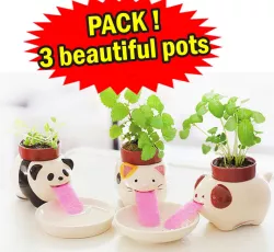 cat dog and panda bear planters