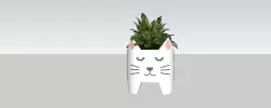 CAT POT