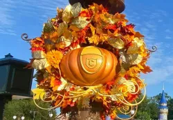 Cinderella Pumpkin