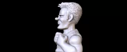 COBRA KAI - Sensei CRIS