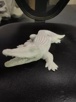 Crocodile