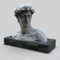 DAVID BUST