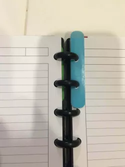 Disc System Page Marker