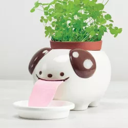 dog pot
