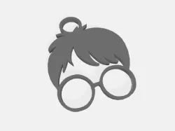 Earrings Harry Potter / Harry Potter earrings