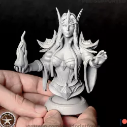 Elf Sorceress BUST