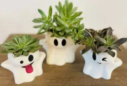 Ghost pot