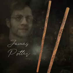 James Potter Wand - Harry Potter