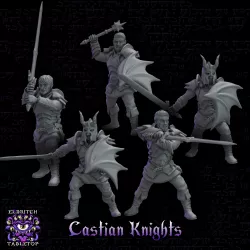 Knights of Castia