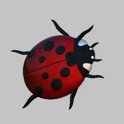 ladybug, ladybug 3D