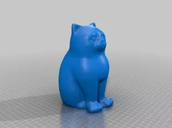 LASER CAT