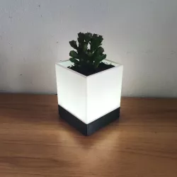 LED Lamp Succulent planter