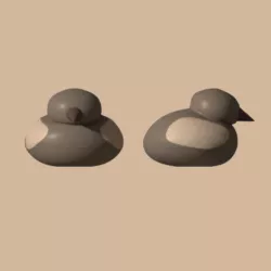 Little bird