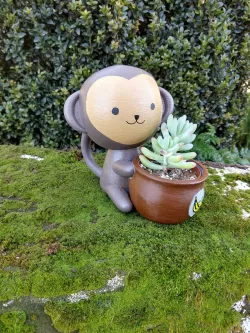 Monkey planter