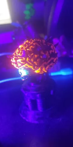 mother brain