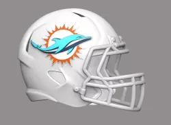 NFL MIAMI DOLPHINS FLORIDA