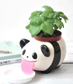 Panda bear pot