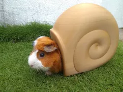 Pet House-Snail Shell Shape