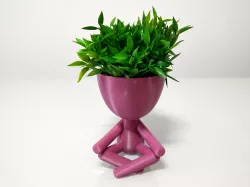Robert Plant Vase/Planter