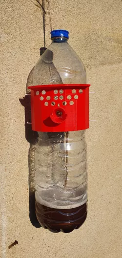 Selective Asian Hornet Trap