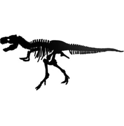 Skeleton dinosaur wall decor