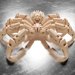 Spider Robot