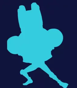 TEXT FLIP-ONE PIECE FRANKY