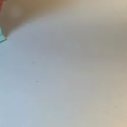 The Chocolate Express