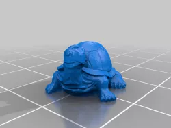 Tortoise