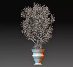 Tree model