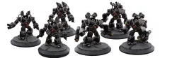 Umbral Rage Magpies - Shadow Goliaths.