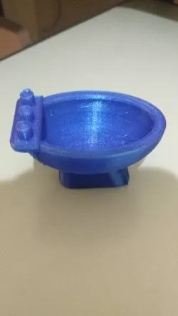 Videobath