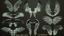 10 Wings