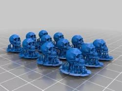 A dozen skulls with supports