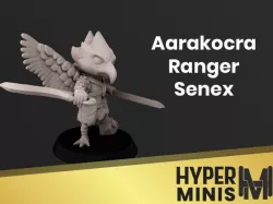 Aarakocra Ranger Senex
