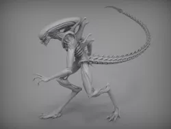 Alien Xenomorph