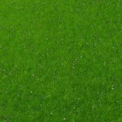 Blender Grass 3D Model