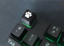 CAT PAW KEYCAP