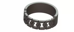 chain ring