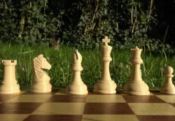 Chess pieces