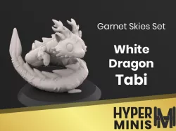 Chibi White Dragon Tabi