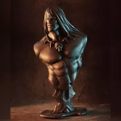 Conan the Barbarian bust (fan art)