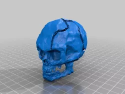 Crusty Skull