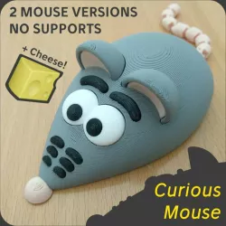Curious Mouse