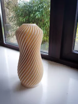 Cycloid Vase