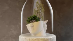David and Venus Pot