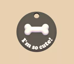 Dog Bone Tag