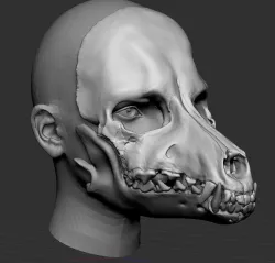Dog Skull Scary mask for cosplay