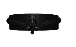 Dragon ring
