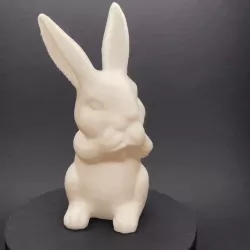 Easter Bunny